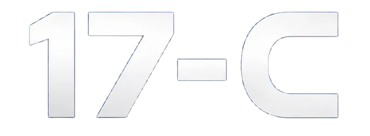 17C品牌Logo